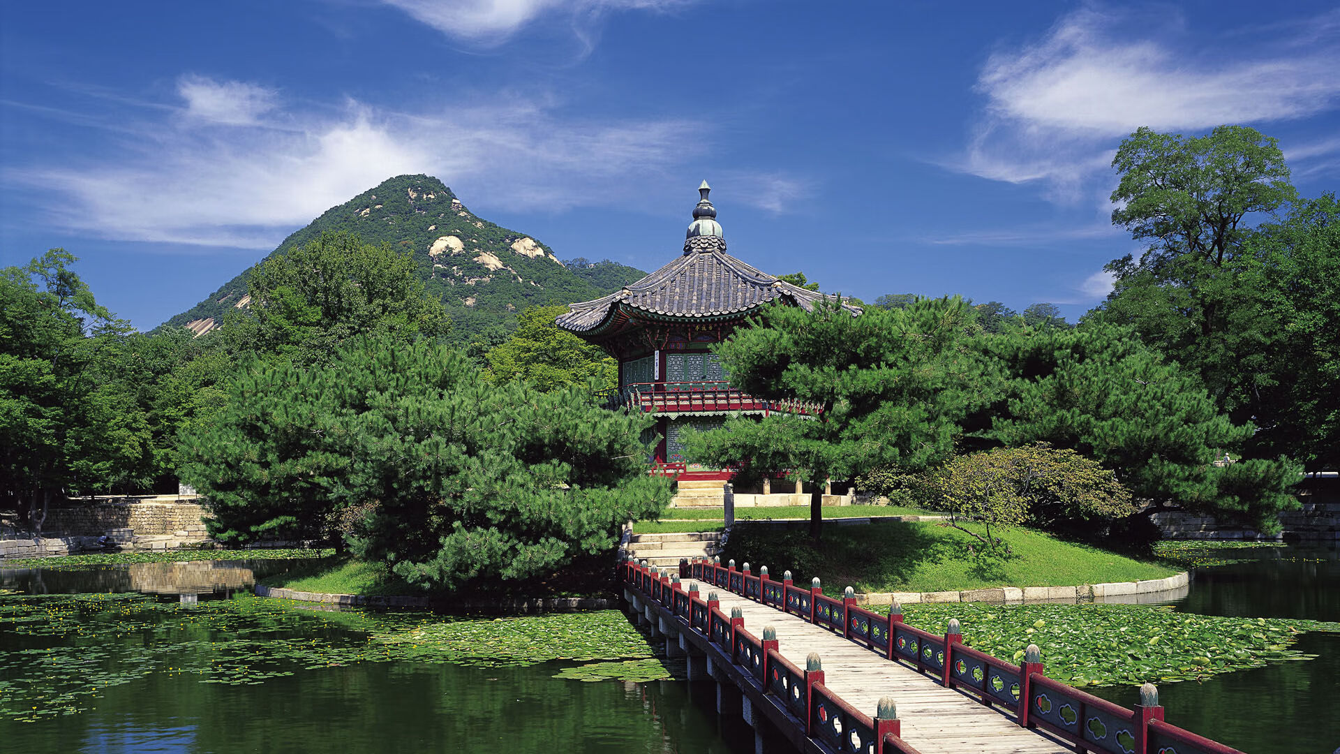 世界举重比赛战术分享：节奏控制成夺冠关键，世界级举重比赛