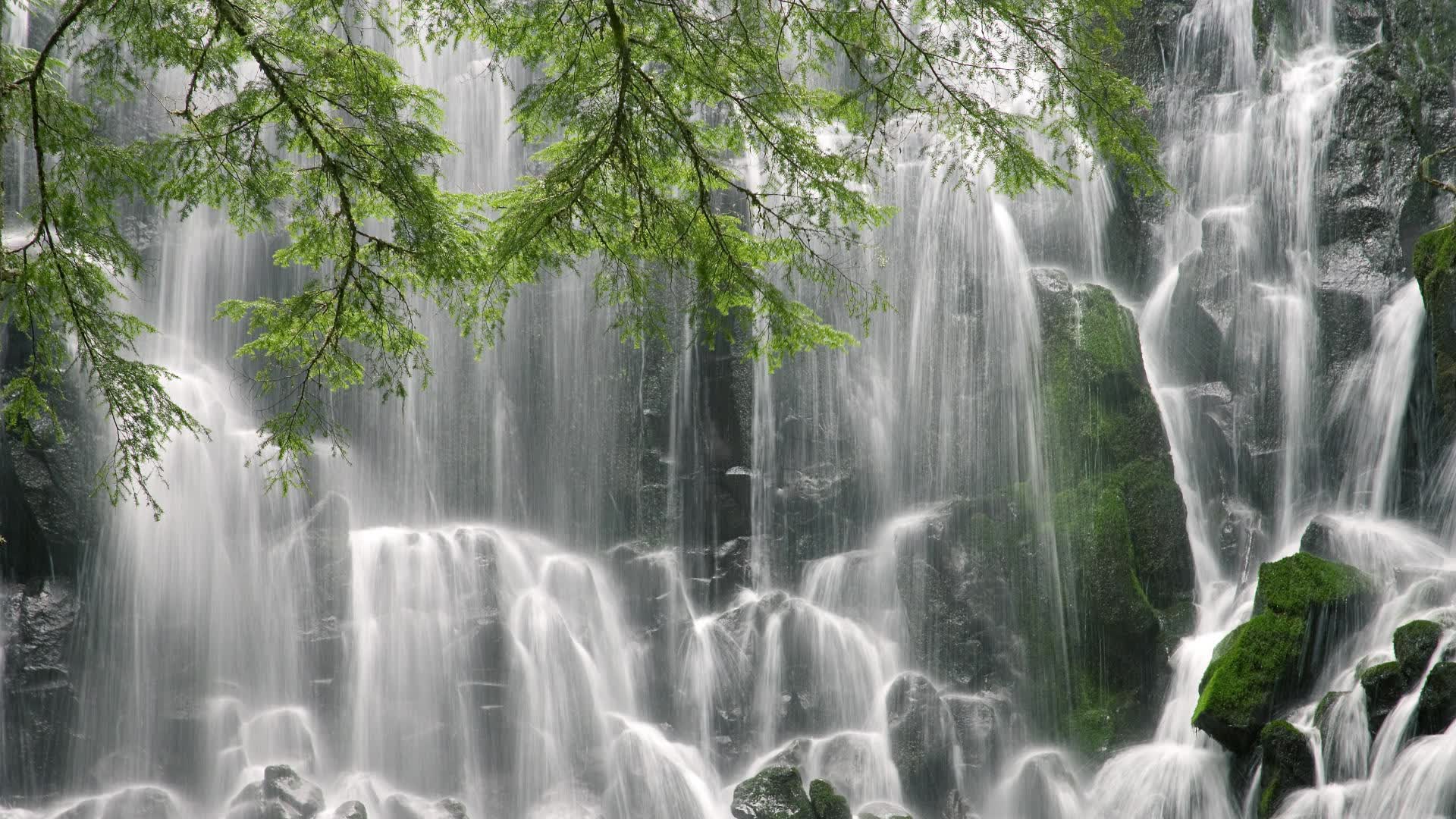 世界保龄球巡回赛在校园设体验点,世界保龄球联合会